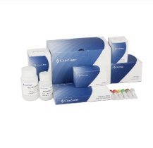 二代反轉(zhuǎn)錄酶相關(guān)產(chǎn)品價(jià)格調(diào)整