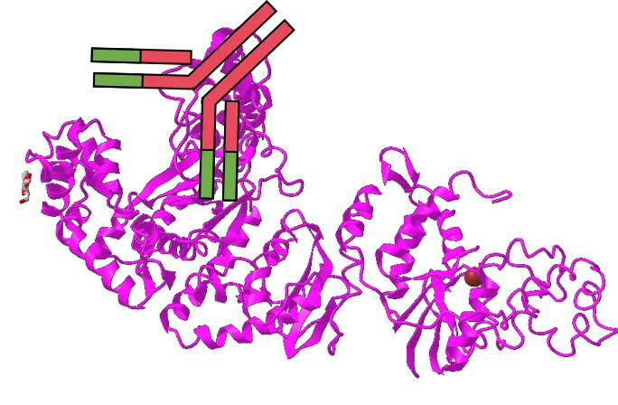 想提高PCR特異性嗎？用對(duì)酶很重要！