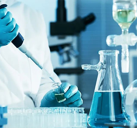 如何證明反轉錄第一鏈cDNA成功了？