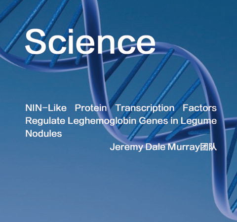 祝賀Jeremy Dale Murray團隊佳作榮登Science期刊！