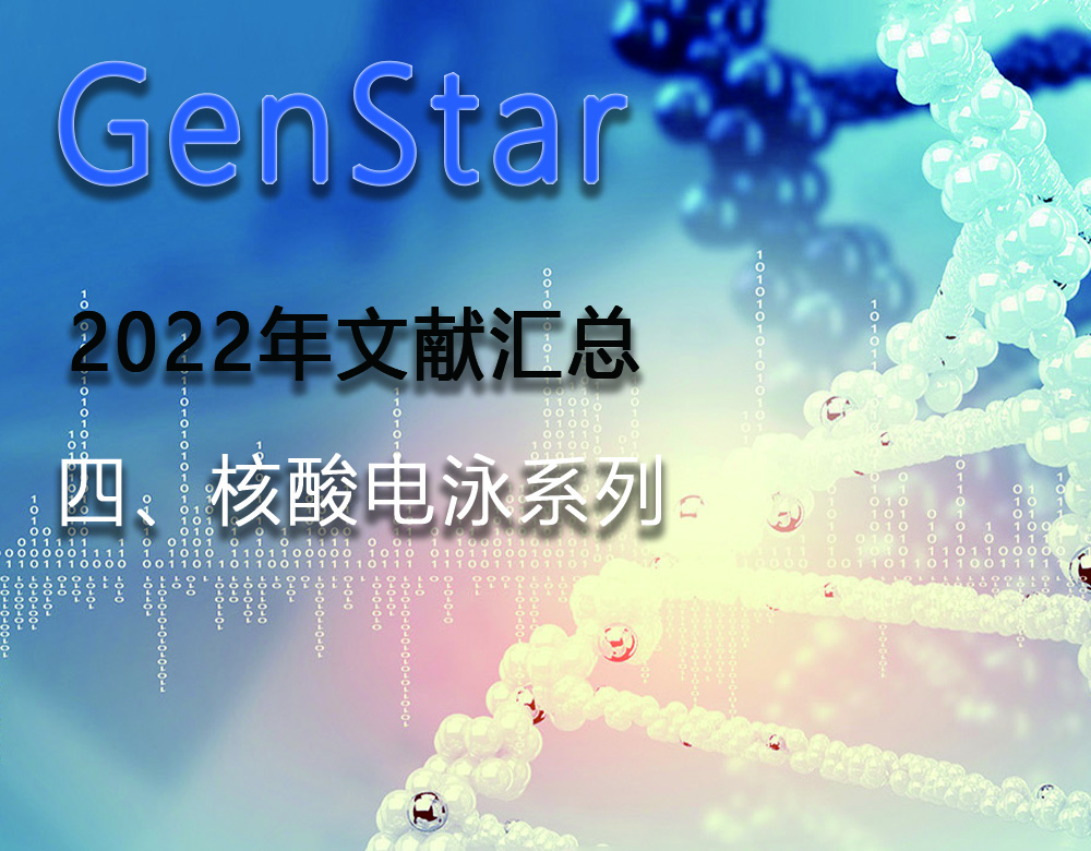 GenStar 2022年文獻(xiàn)匯總（四、核酸電泳系列）